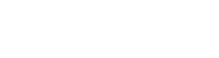 Basculas bringas logotipo